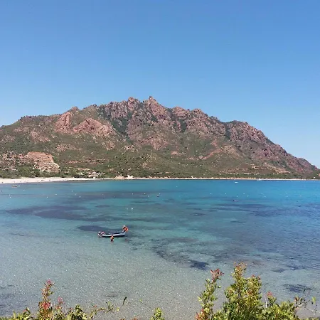 Le Palme * Тертения